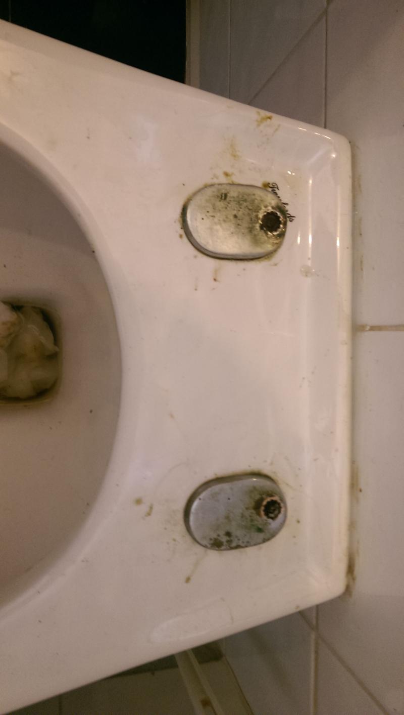 DIY conundrum removing toilet seat caps DIYnot Forums