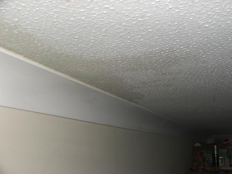 Damp ceiling DIYnot Forums