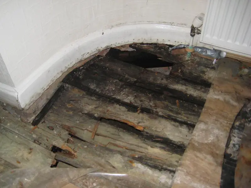 Wet Rot Issue - Dropped Floor | DIYnot Forums
