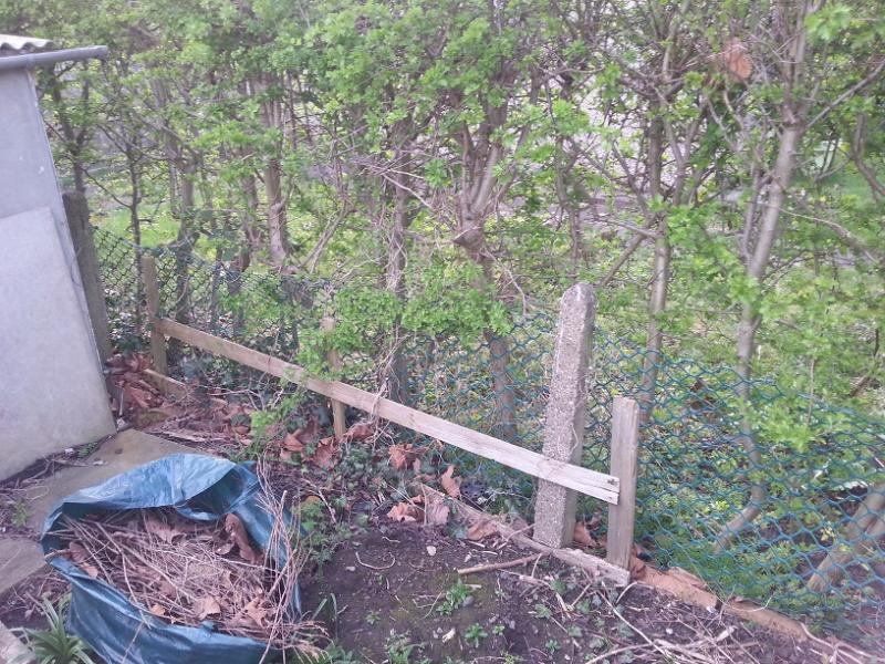 Building a fence using existing concrete posts DIYnot Forums