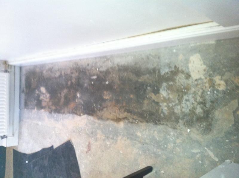 Damp concrete floor DPM? DIYnot Forums