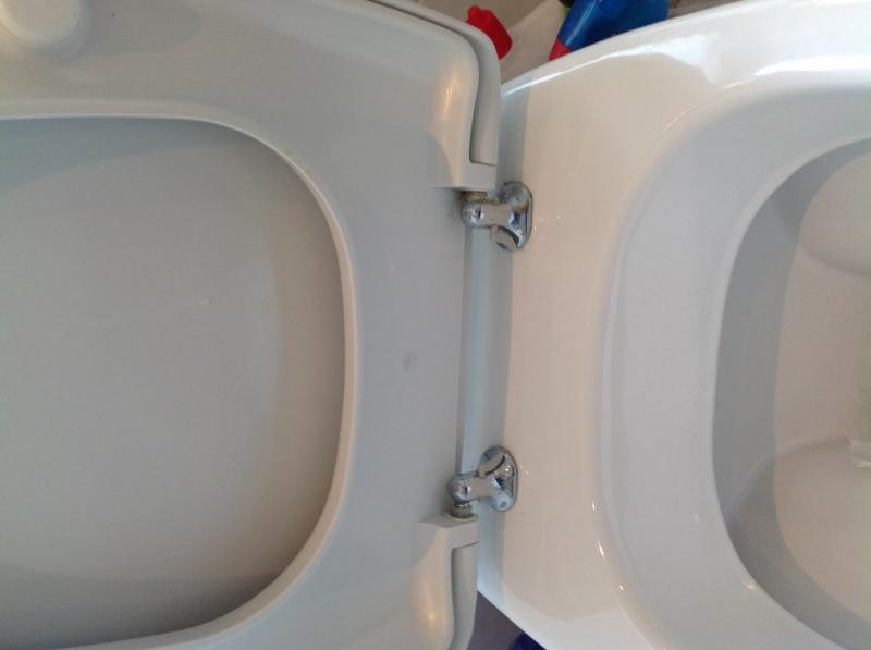 How to remove this top fitting toilet seat DIYnot Forums