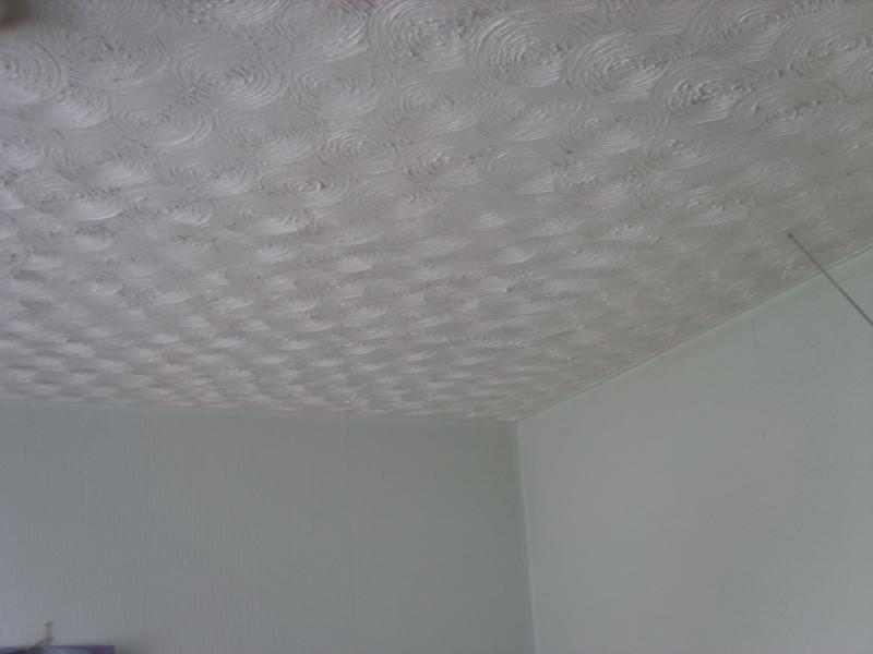 Re Plaster An Artex Ceiling Diynot Forums
