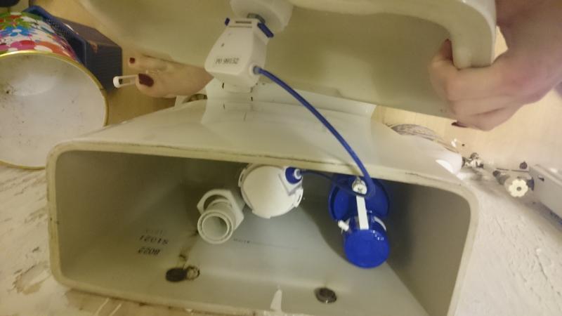 Push Button Toilet Doesn T Flush Diynot Forums