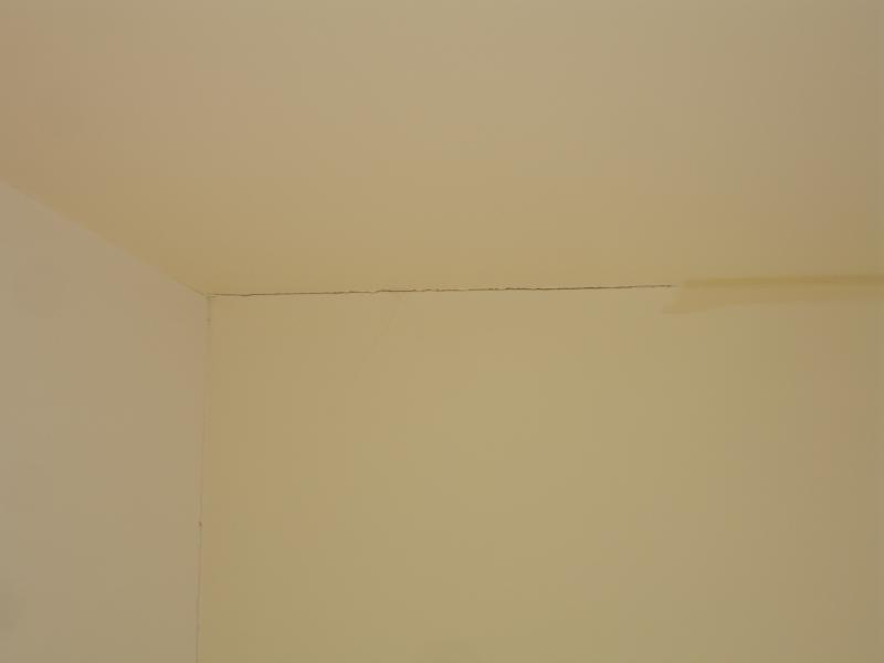 Help Panicking About Cracks In Plaster Diynot Forums
