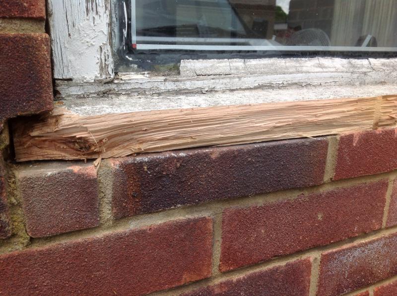 Replacing a rotten window cill DIYnot Forums