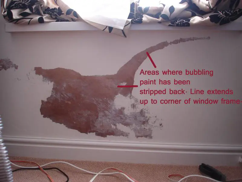 Bubbling paint due to reoccurring damp problem, what cause