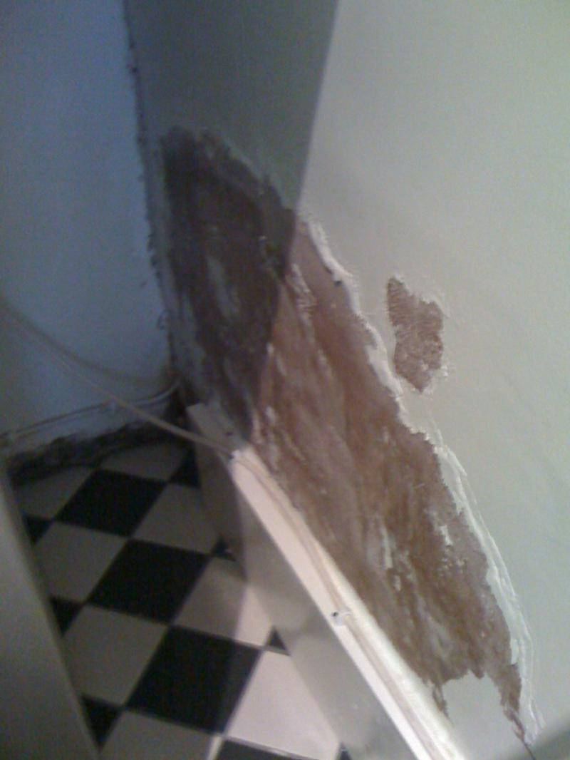 utility room damp on the other side