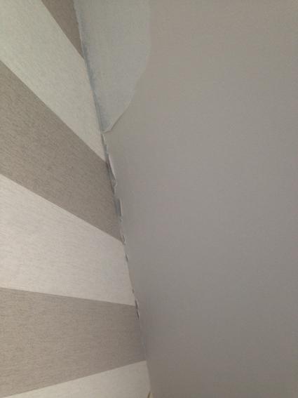 Valsparpaint problems