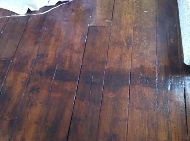 Varnished Floor Join