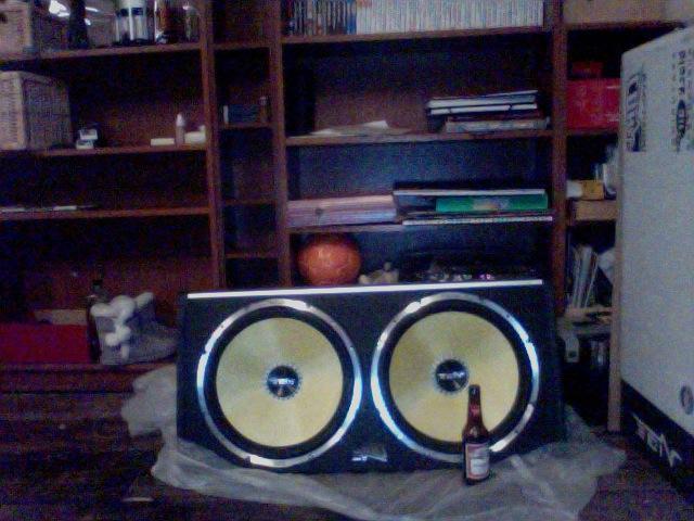 Vibe 15" Twin evo-V2