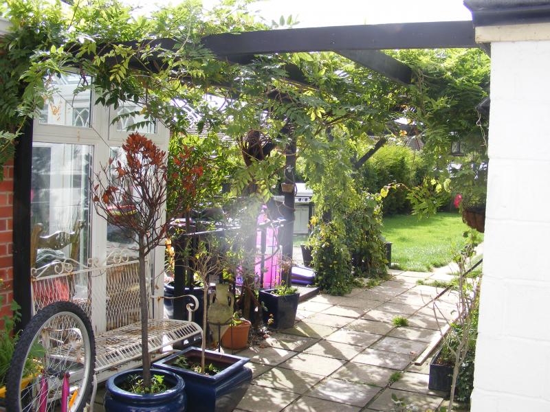 VIEW LOOKING ONTO REAR GARDEN