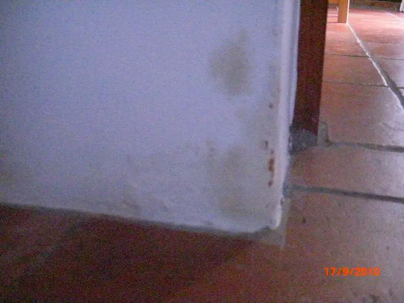 Wall damp 2