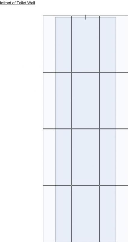 Wall infront of Toilet