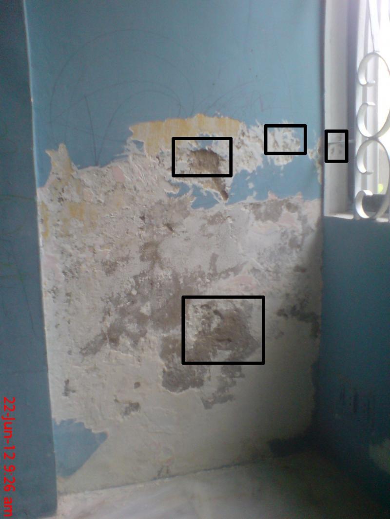 wall to the garden side