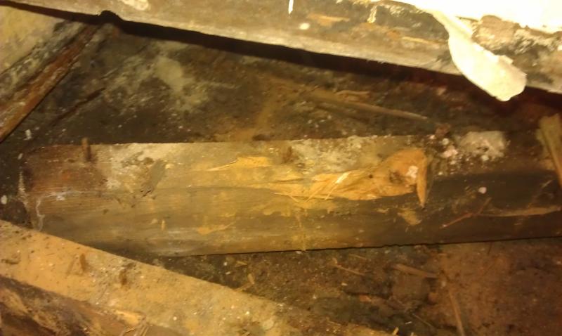 Well that came out easily