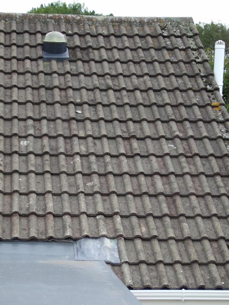 West facing - Sth side 1