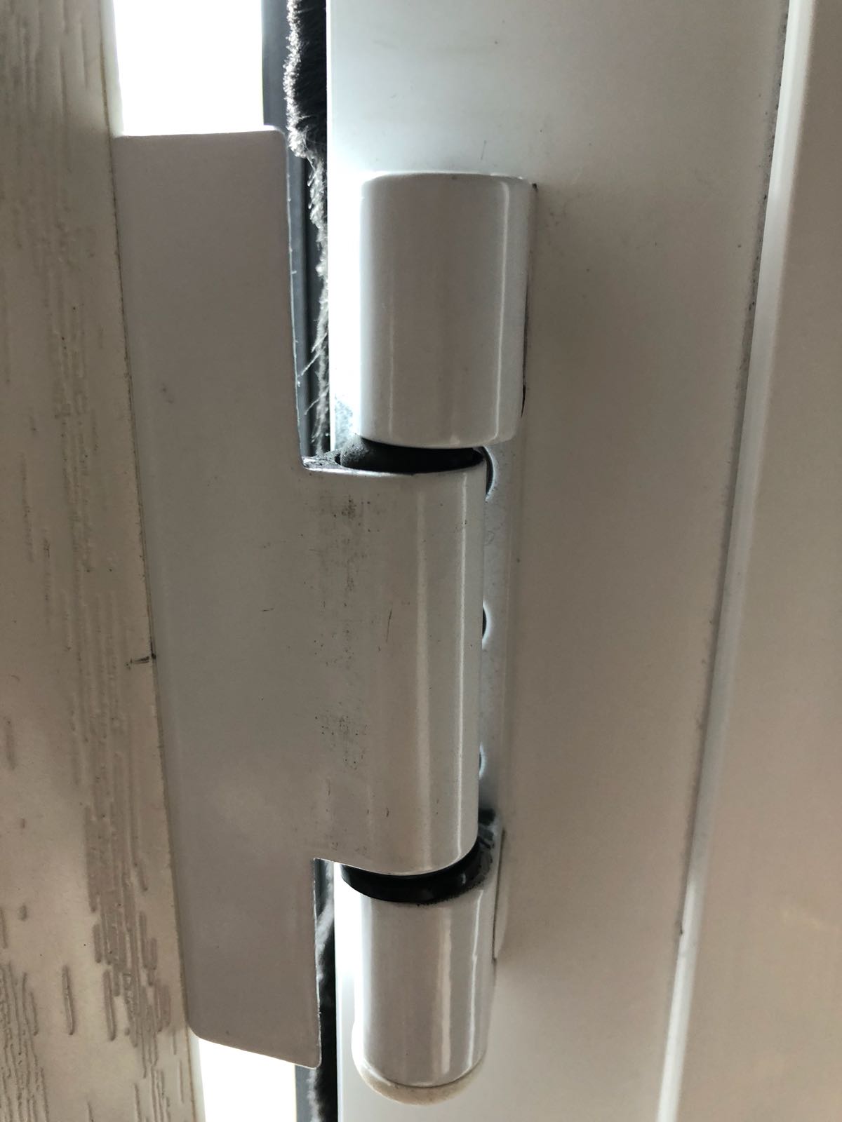 WhatsApp Image 2018-05-23 At 10.01.19 AM