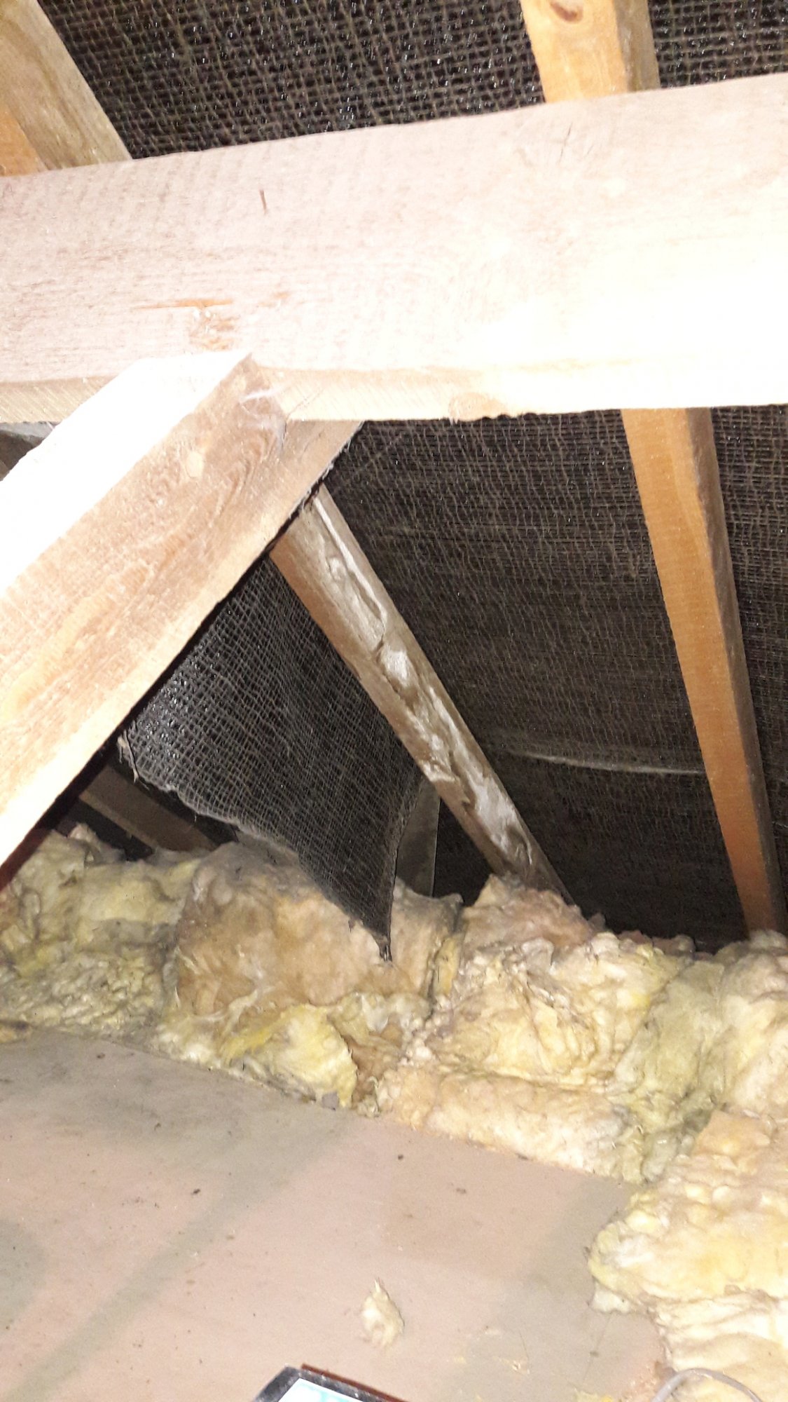 White stuff along one rafter