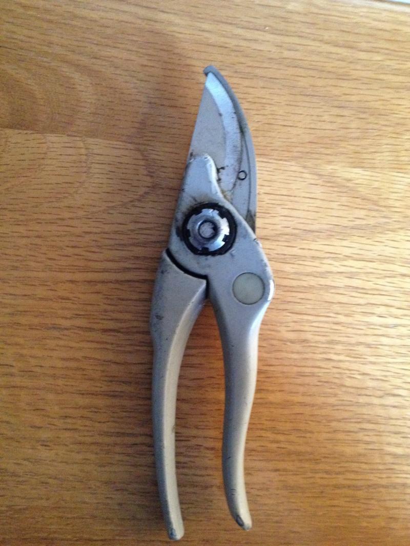 Wilkinson W59 secateurs