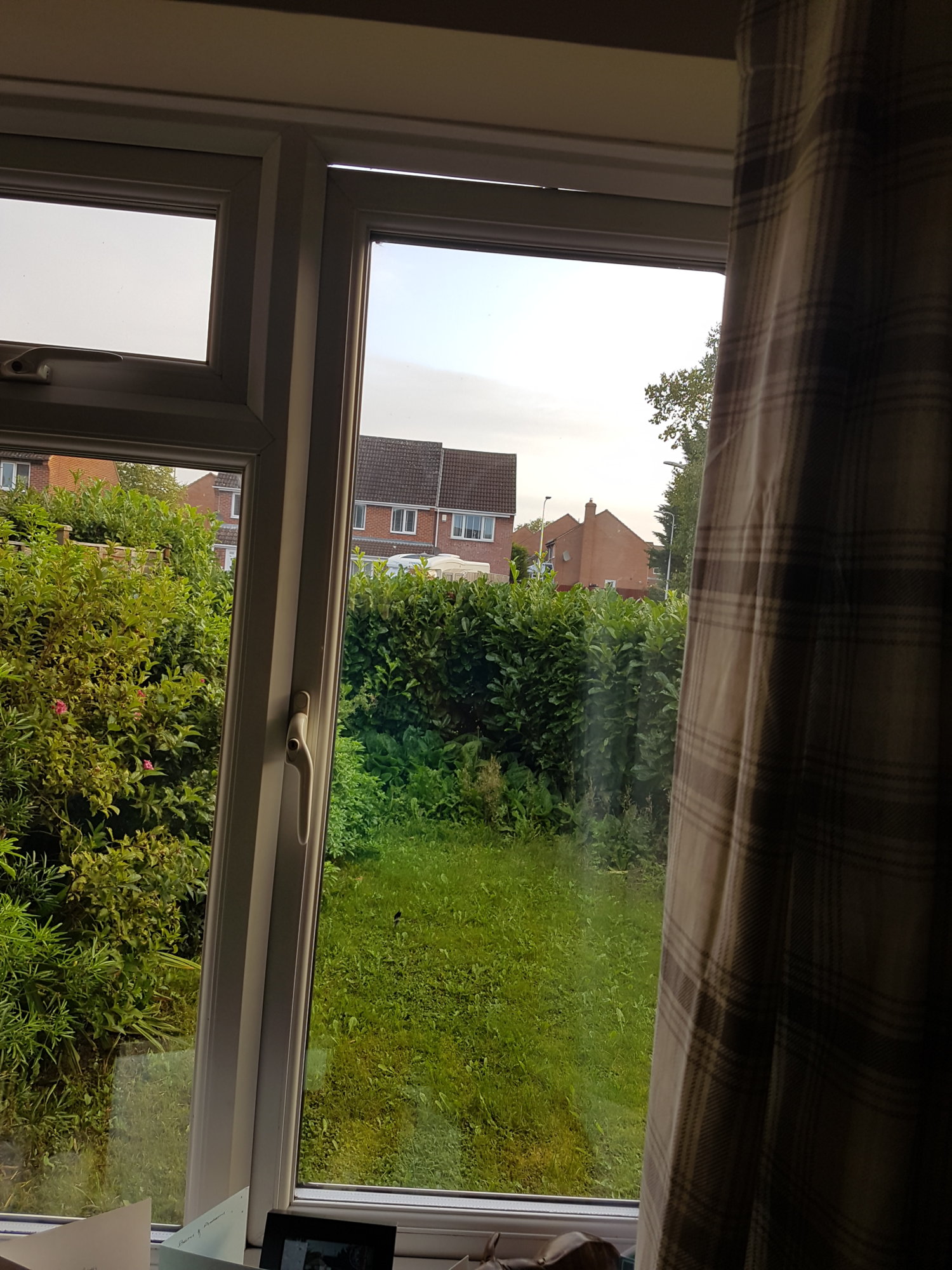Window