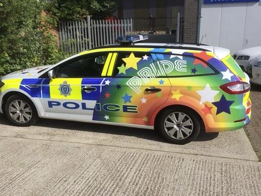 Wokeycokey Rozzers.jpg