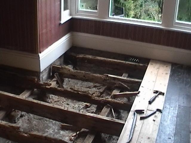 Wood Rot Under floor