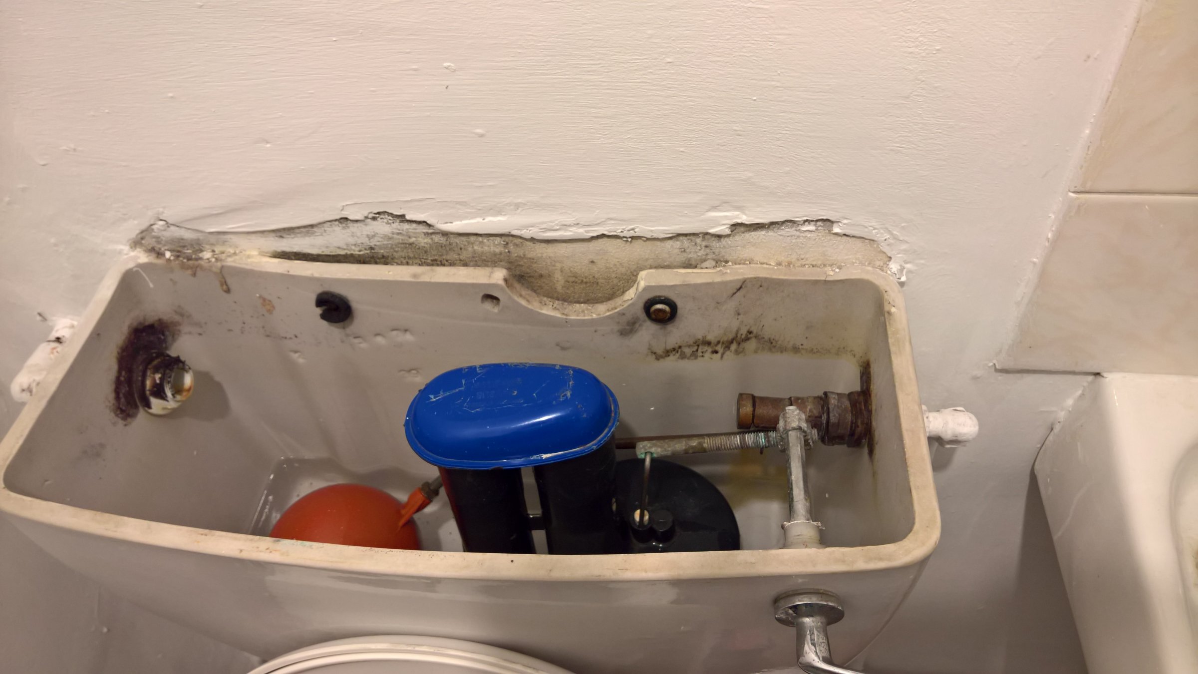 WP_20170210_20_11_53_Rich