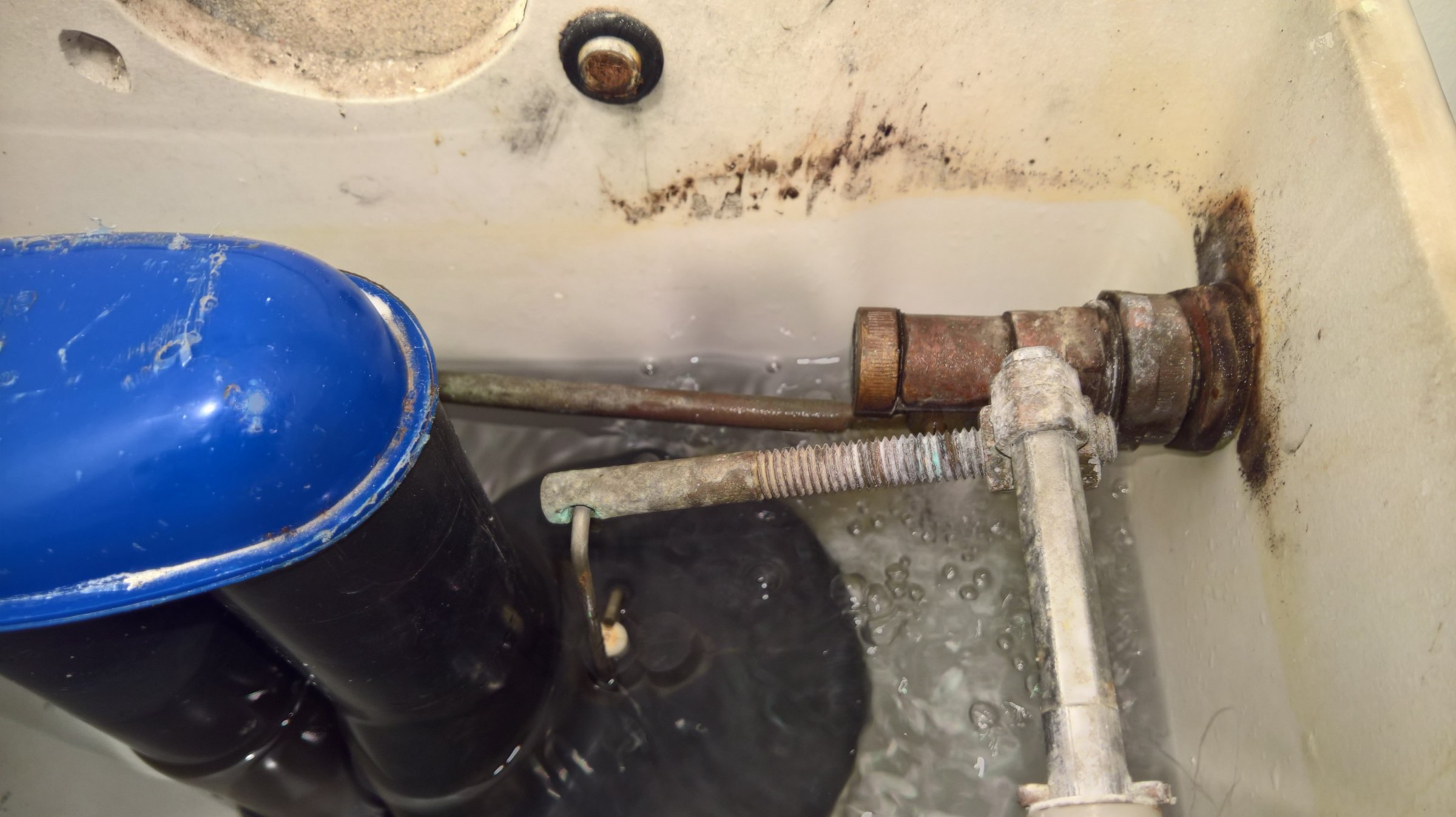 WP_20170210_20_55_57_Rich