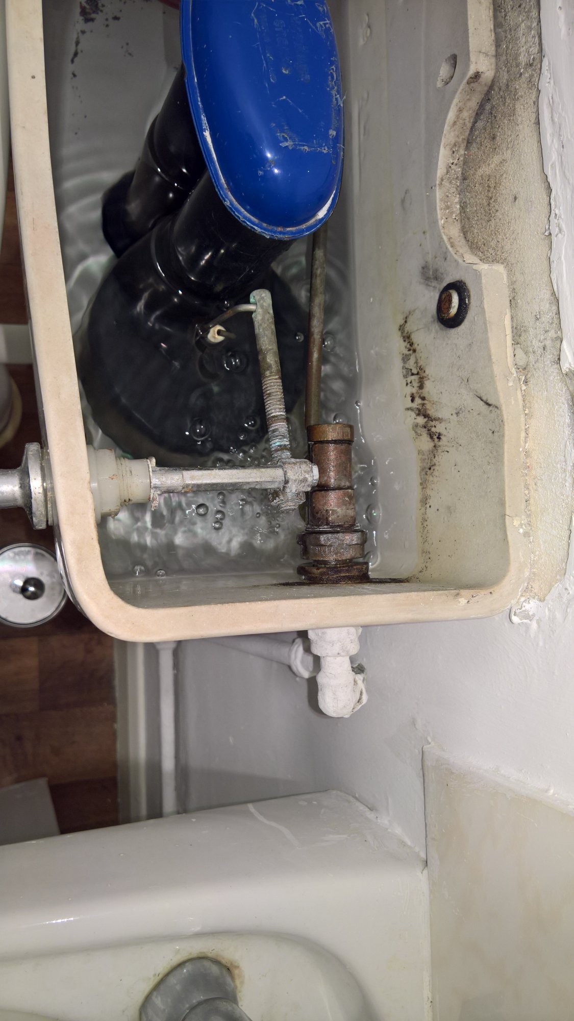 WP_20170210_20_56_33_Rich