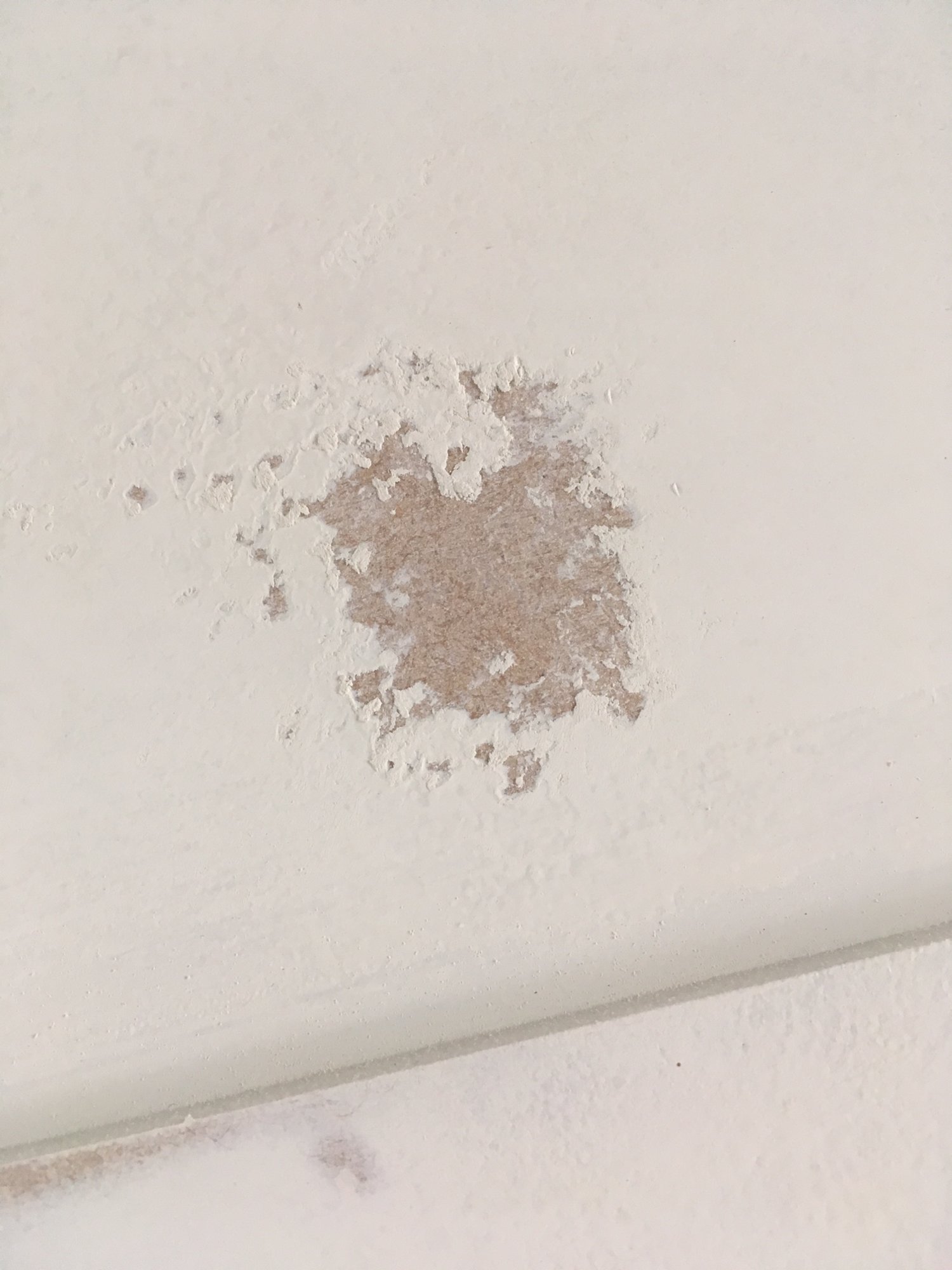 zinsser bin sanded badly