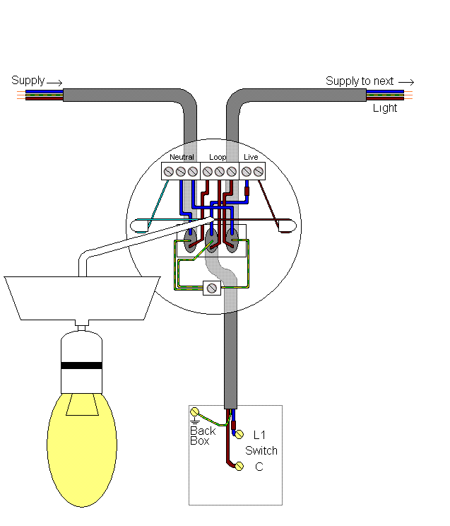 Electrics Single Way Lighting - Ceiling Rose Wiring Explained